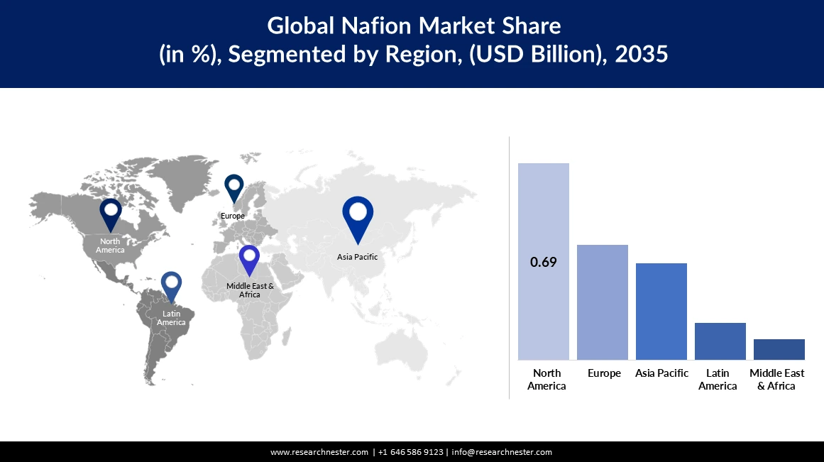 Global Nafion Market Size